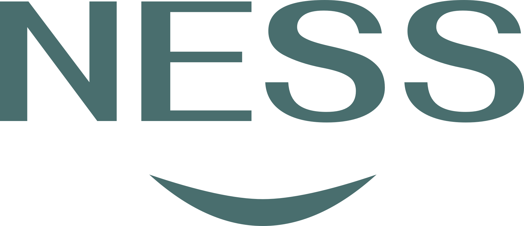 Ness Kleding logo