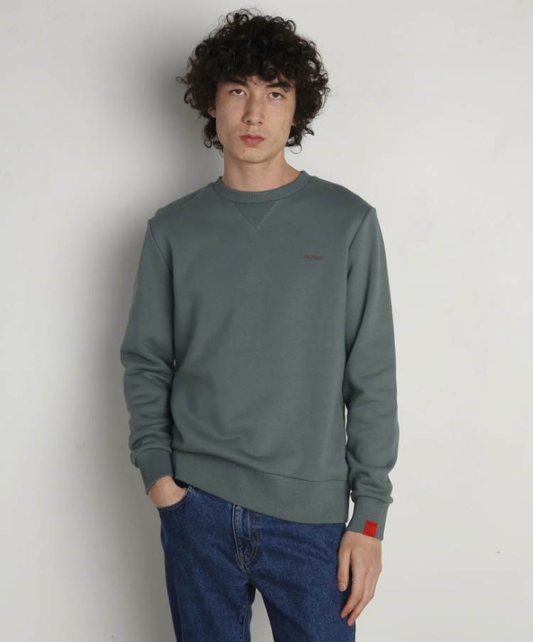 Sweatshirt Washed green