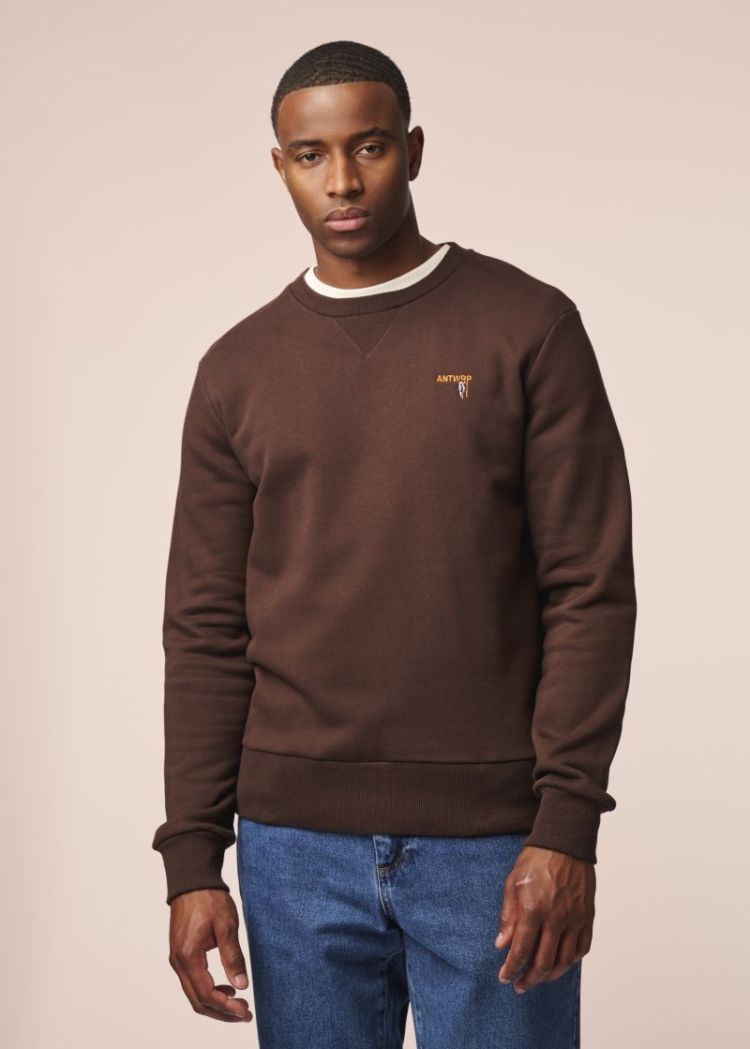 Sweatshirt Brown